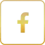 fb icon